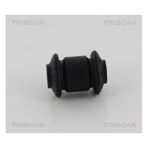 TRISCAN Lagerung, Lenker