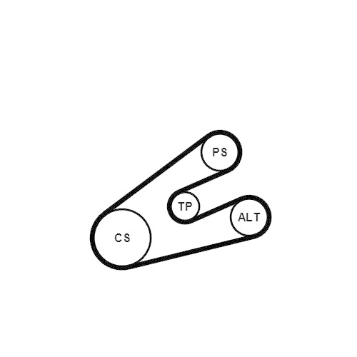 CONTINENTAL CTAM Keilrippenriemensatz