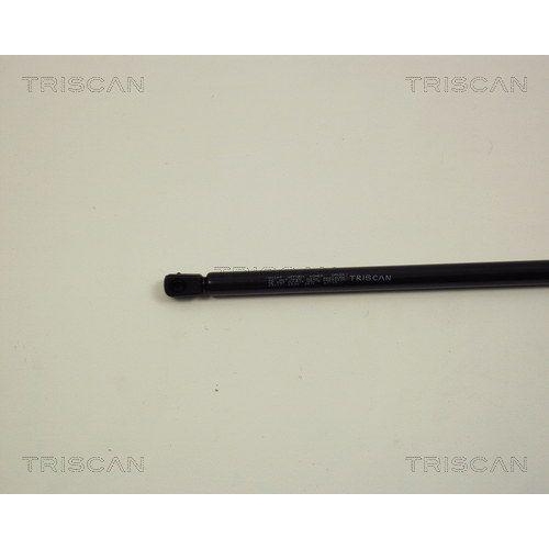 TRISCAN Gasfeder, Motorhaube