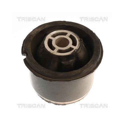 TRISCAN Lagerung, Achskörper