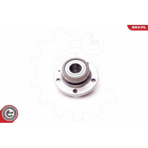 ESEN SKV Radlagersatz