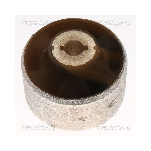 TRISCAN Lagerung, Lenker