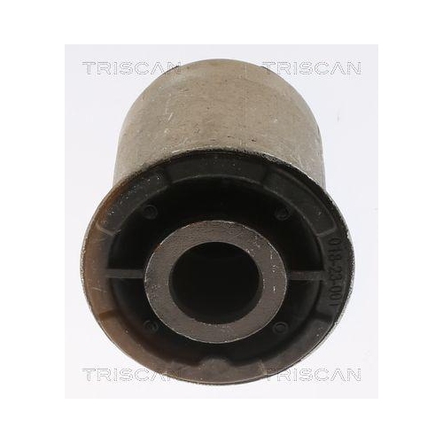 TRISCAN Lagerung, Lenker