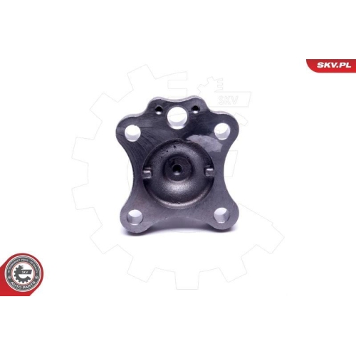 ESEN SKV Radlagersatz