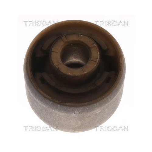 TRISCAN Lagerung, Lenker