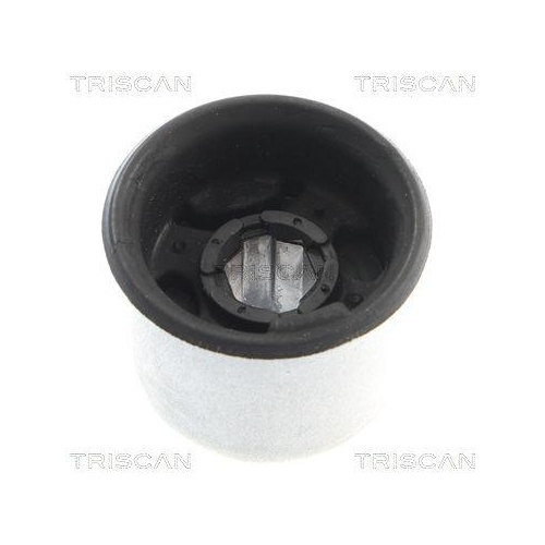 TRISCAN Lagerung, Lenker