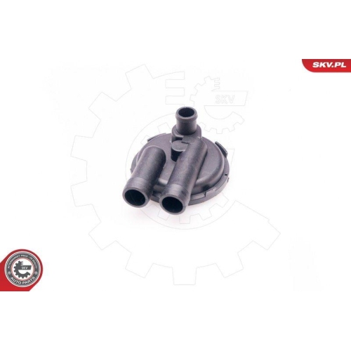 ESEN SKV Ventil, Kurbelgehäuseentlüftung