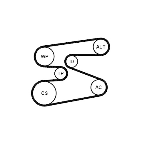 CONTINENTAL CTAM Keilrippenriemensatz