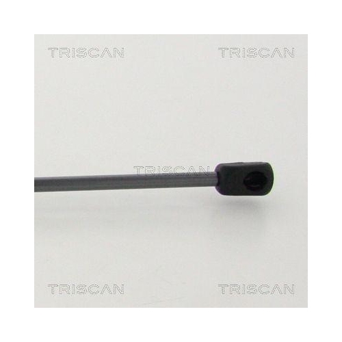 TRISCAN Gasfeder, Koffer-/Laderaum