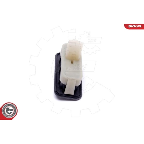 ESEN SKV Schalter, T&uuml;rschloss