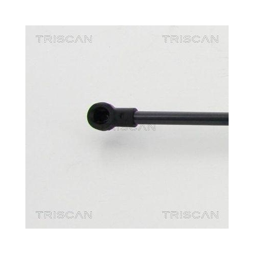 TRISCAN Gasfeder, Koffer-/Laderaum