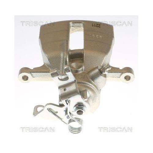 TRISCAN Bremssattel