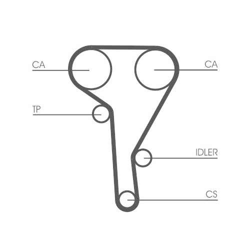 CONTINENTAL CTAM Zahnriemen