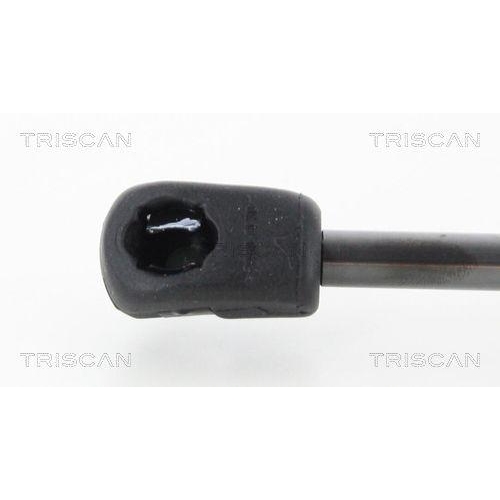 TRISCAN Gasfeder, Koffer-/Laderaum