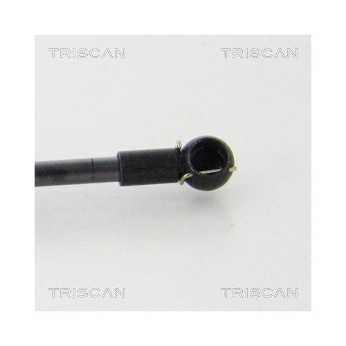 TRISCAN Gasfeder, Koffer-/Laderaum