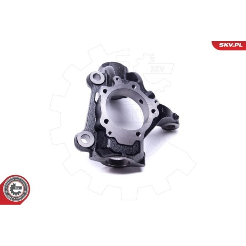 ESEN SKV Achsschenkel, Radaufhängung