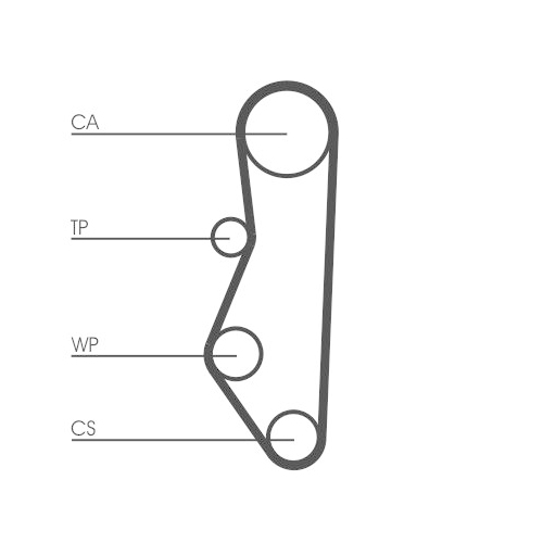 CONTINENTAL CTAM Zahnriemen