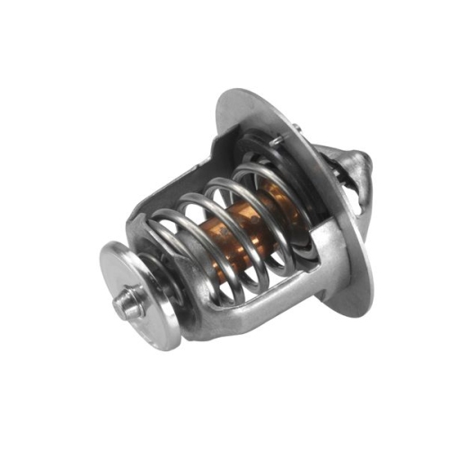 BorgWarner (Wahler) Thermostat, Kühlmittel