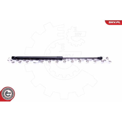 ESEN SKV Gasfeder, Koffer-/Laderaum