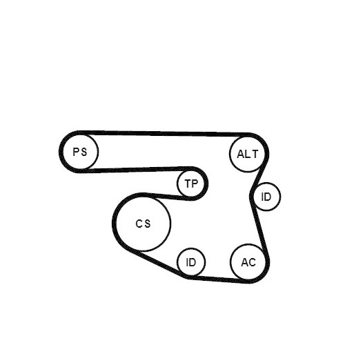 CONTINENTAL CTAM Keilrippenriemensatz