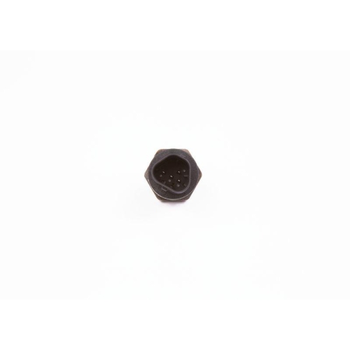 BOSCH Sensor