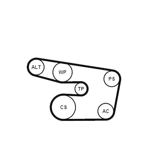 CONTINENTAL CTAM Keilrippenriemensatz