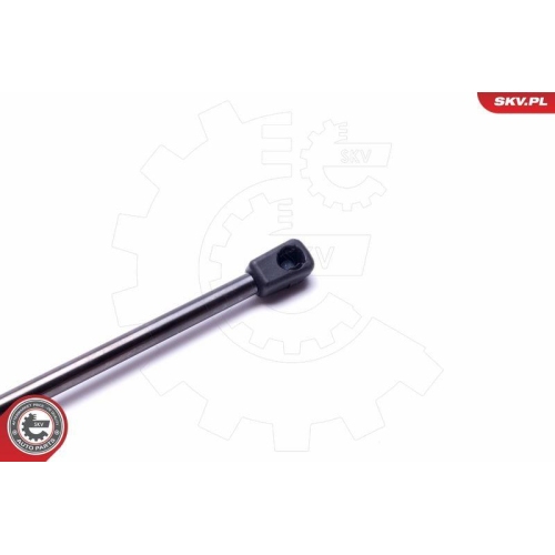 ESEN SKV Gasfeder, Koffer-/Laderaum