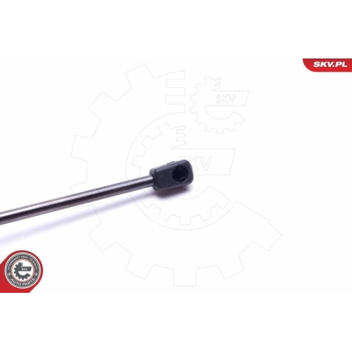 ESEN SKV Gasfeder, Koffer-/Laderaum