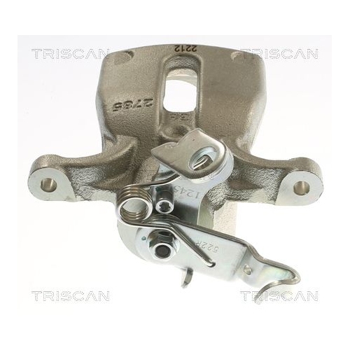 TRISCAN Bremssattel