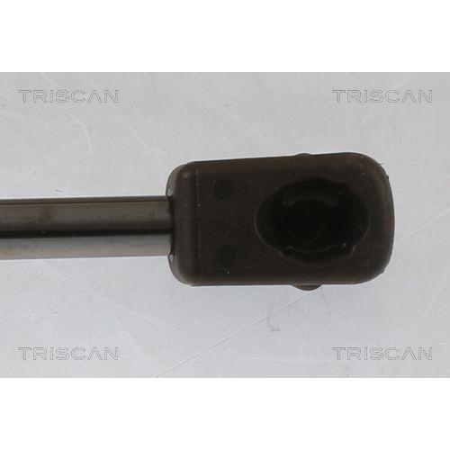 TRISCAN Gasfeder, Koffer-/Laderaum