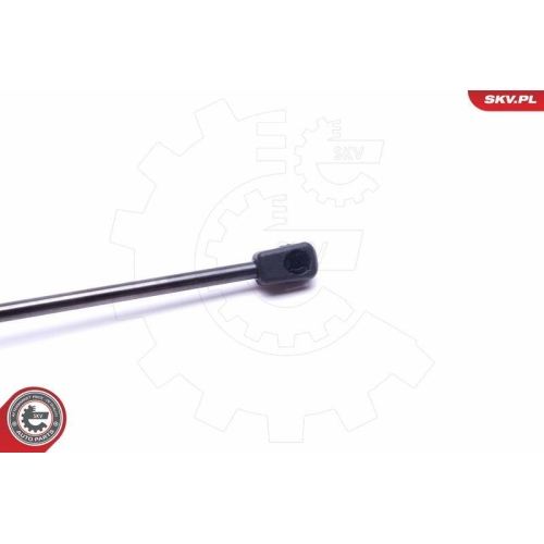 ESEN SKV Gasfeder, Koffer-/Laderaum