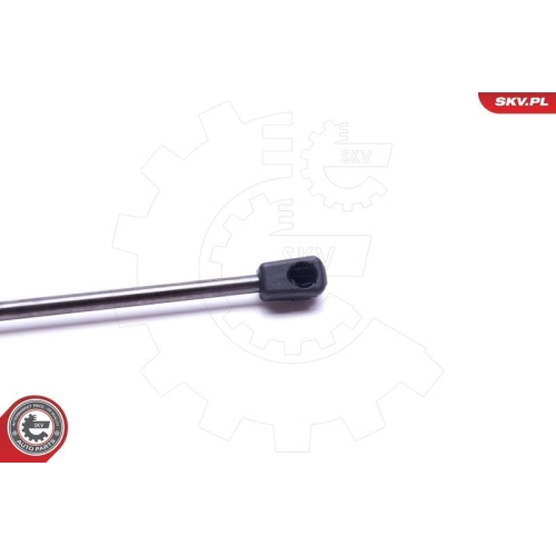 ESEN SKV Gasfeder, Koffer-/Laderaum