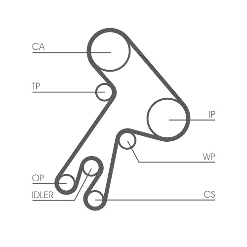 CONTINENTAL CTAM Zahnriemen
