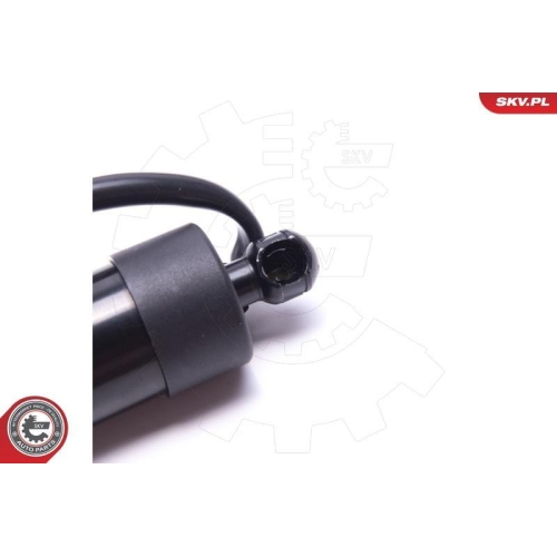 ESEN SKV Elektromotor, Heckklappe