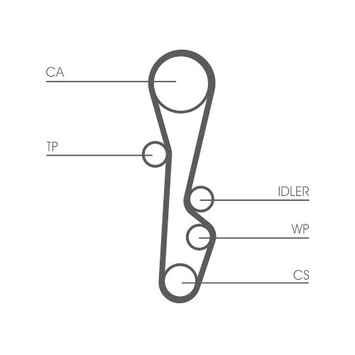 CONTINENTAL CTAM Zahnriemen