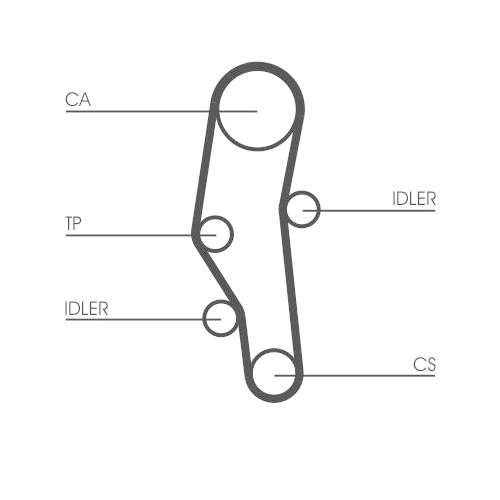 CONTINENTAL CTAM Zahnriemen