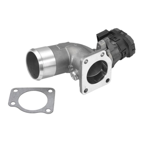 BorgWarner (Wahler) AGR-Modul