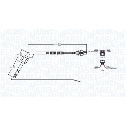 MAGNETI MARELLI Sensor, Abgastemperatur