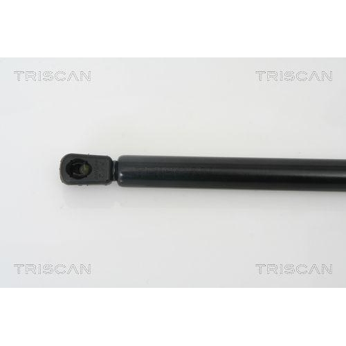 TRISCAN Gasfeder, Koffer-/Laderaum