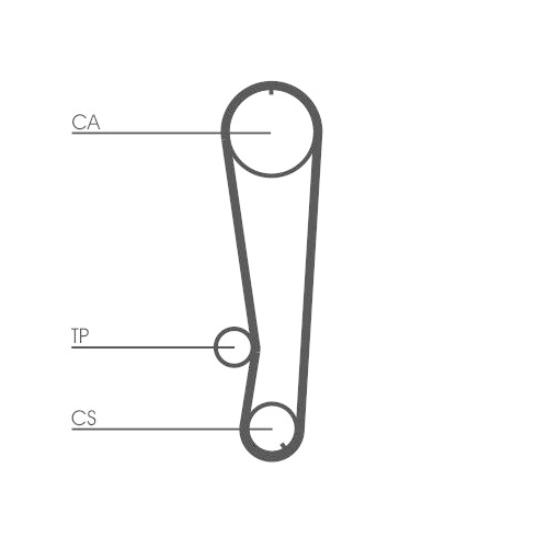 CONTINENTAL CTAM Zahnriemen