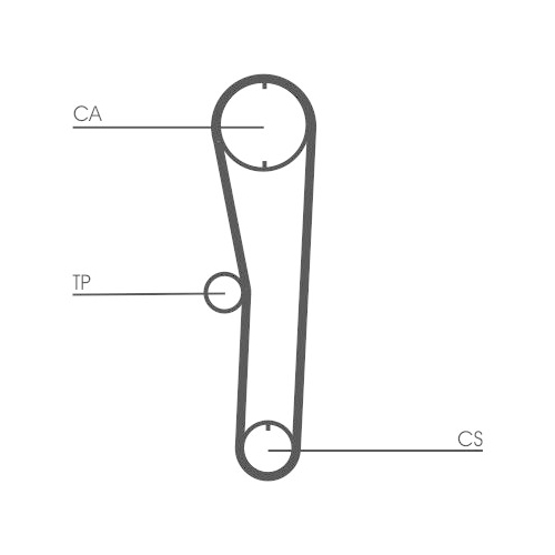 CONTINENTAL CTAM Zahnriemen