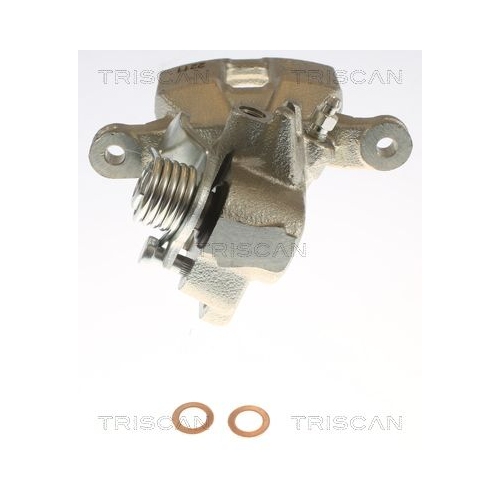 TRISCAN Bremssattel