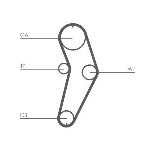 CONTINENTAL CTAM Zahnriemen