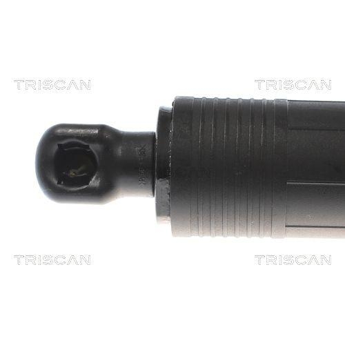 TRISCAN Gasfeder, Koffer-/Laderaum