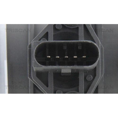 TRISCAN Luftmassenmesser