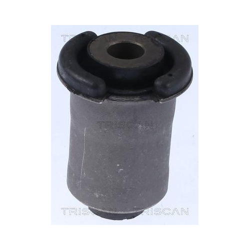 TRISCAN Lagerung, Lenker