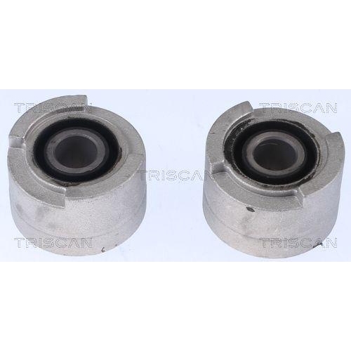 TRISCAN Lagerung, Lenker