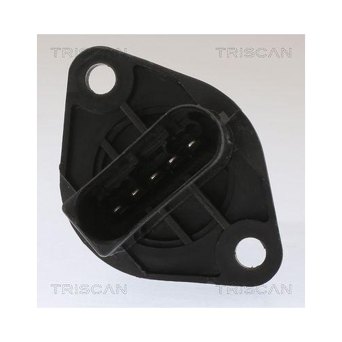 TRISCAN Luftmassenmesser