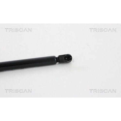 TRISCAN Gasfeder, Koffer-/Laderaum