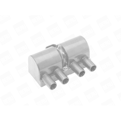 BorgWarner (BERU) Z&uuml;ndspule